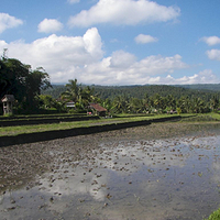 Photo de Bali - Banjar et Gitgit